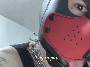Logan_pup