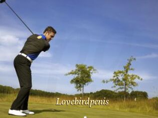 Lovebirdpenis