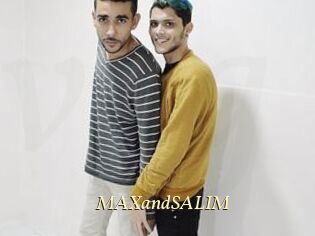 MAXandSALIM