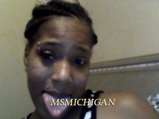 MSMICHIGAN