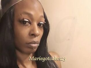 Mariegotcakes23