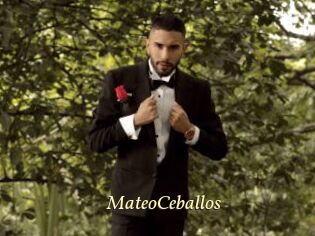 MateoCeballos