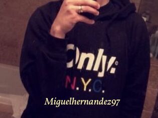 Miguel_hernandez97