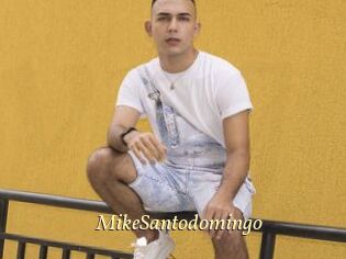MikeSantodomingo