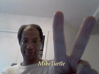 MikeTurtle