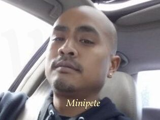 Minipete