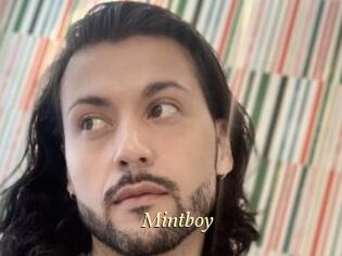 Mintboy
