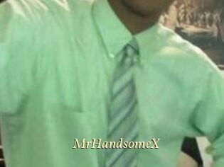 MrHandsomeX