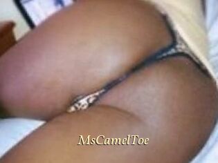 MsCamelToe