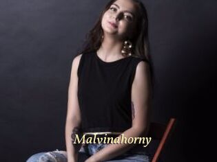 Malvinahorny