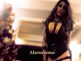 mareavenus Vidéo porno gratuite