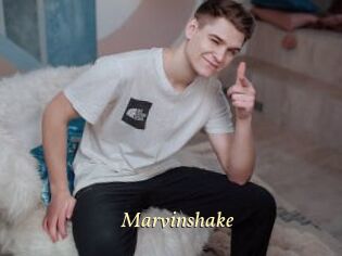 Marvinshake