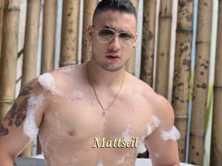 Mattseil