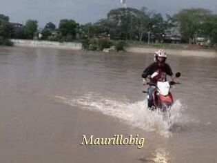 Maurillobig