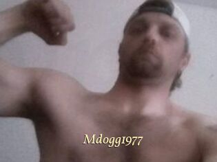 Mdogg1977
