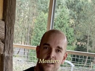 Meesterv