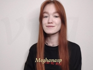 Meghanasp