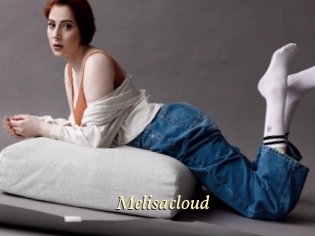 Melisacloud