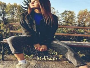 Mellisajo