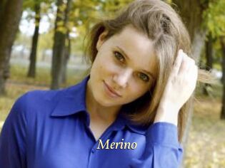 Merino
