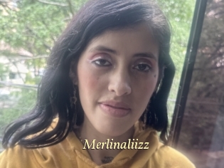 Merlinaliizz