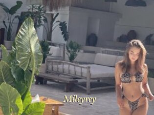 Mileyrey