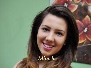 Mimche