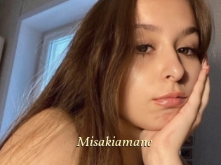 Misakiamane