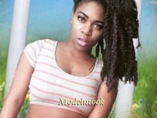 Modelmook
