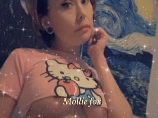 Mollie_fox