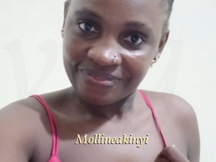 Mollineakinyi