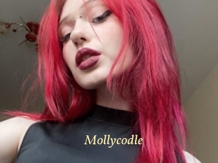 Mollycodle