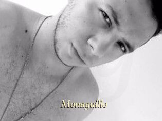 Monaguillo
