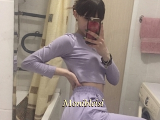 Monibleisi
