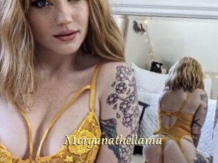 Morganathellama