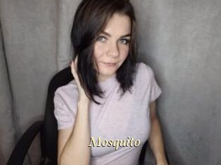 Mosquito