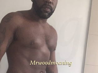 Mrwoodmoaning