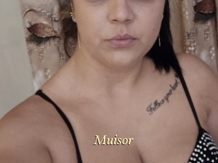 Muisor