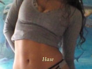 Hase