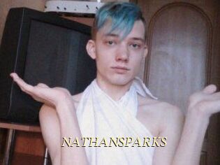 NATHAN_SPARKS