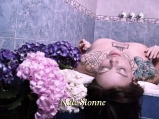 Nale_Stonne