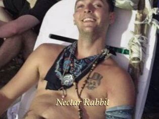 Nectar_Rabbit