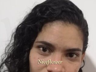 Nice_flower