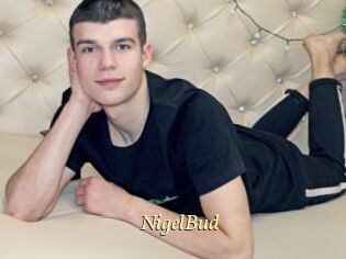 NigelBud