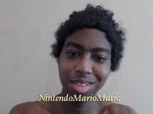 NintendoMarioMario