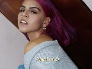 NoaDavis