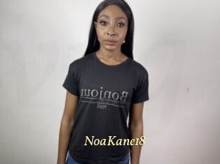 NoaKane18
