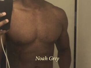 Noah_Grey