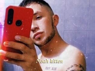 Noah_kitten