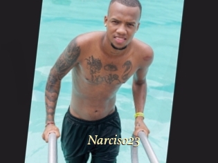 Narciso23